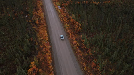 alaska highway road trip in autumn