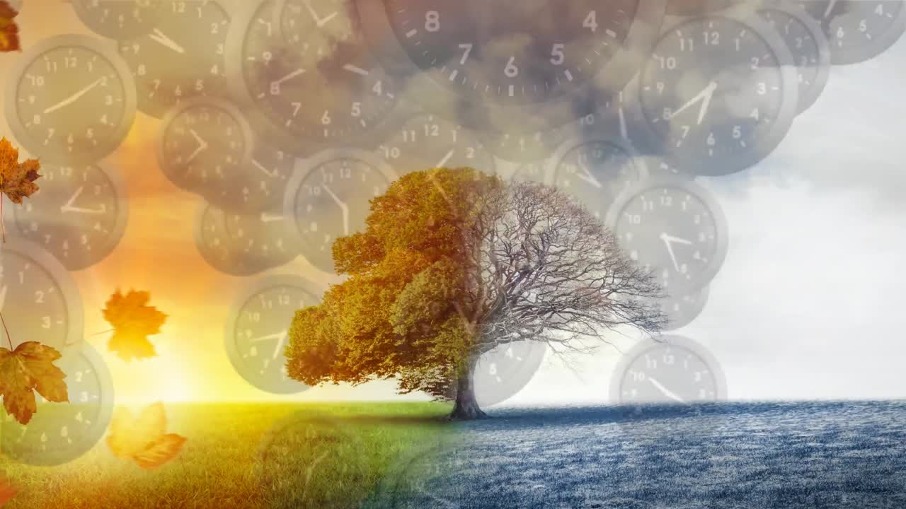 들판 한가운데 에 있는 큰 나무