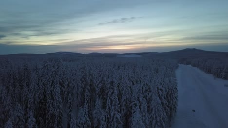 El-Paisaje-Invernal-Congelado-Con-Un-Camino-De-Hanhimaa-En-Finlandia