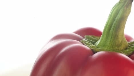 close-up of a red bell pepper