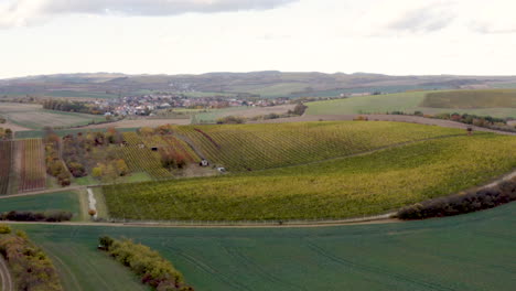 Drohnenaufnahme-Von-Getreidefeldern,-Weinbergen-Und-Dörfern-In-Mähren,-Tschechien