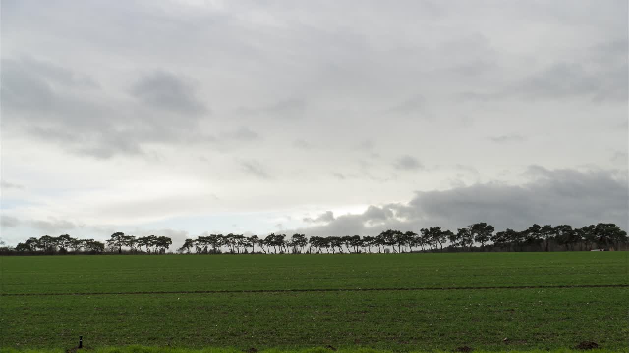잔디와 도로가 있는 이 풍경의 꾸준한 시간 경과, 지나가는 자동차, 왼쪽으로 대각선으로 이동하는 구름, thetford, norfolk, england