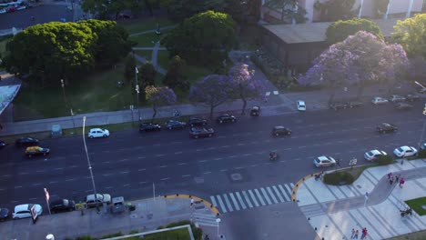 dolly in aerial view of low traffic on a five-lane road with jacaranda trees, drone shot