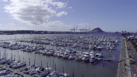 Boats-anchored-to-floating-jetty-in-Tauranga-Bridge-Marina,-distant-Mount-Maunganui,-aerial