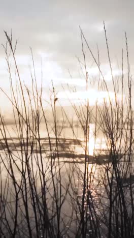 winter sunrise over a frozen river