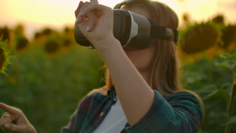 a young female uses vr glasses on the field with sunflowers in sunny day. these are modern technologies in summer evening.