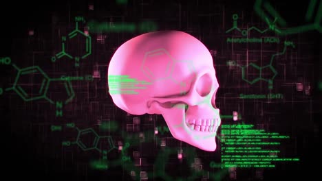 Revolving-skull-and-moving-green-data