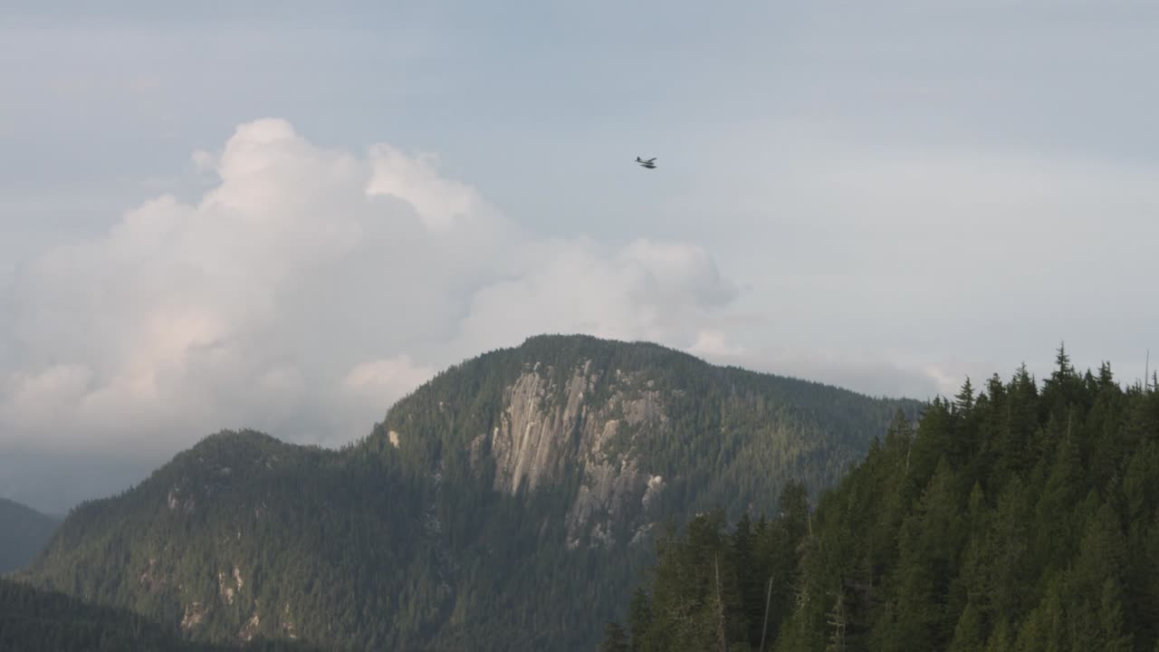 Airplane Flying Over Mountains and Forest