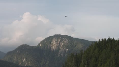 airplane flying over mountains and forest