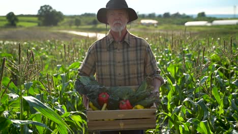 Nahaufnahme-Eines-Landwirts,-Der-Eine-Kiste-Mit-Bio-Gemüse-Trägt,-Blick-In-Die-Kamera-Bei-Sonnenlicht,-Landwirtschaft,-Bauernhof,-Feld,-Ernte,-Garten,-Ernährung,-Bio-Frische,-Porträt,-Zeitlupe-Im-Freien