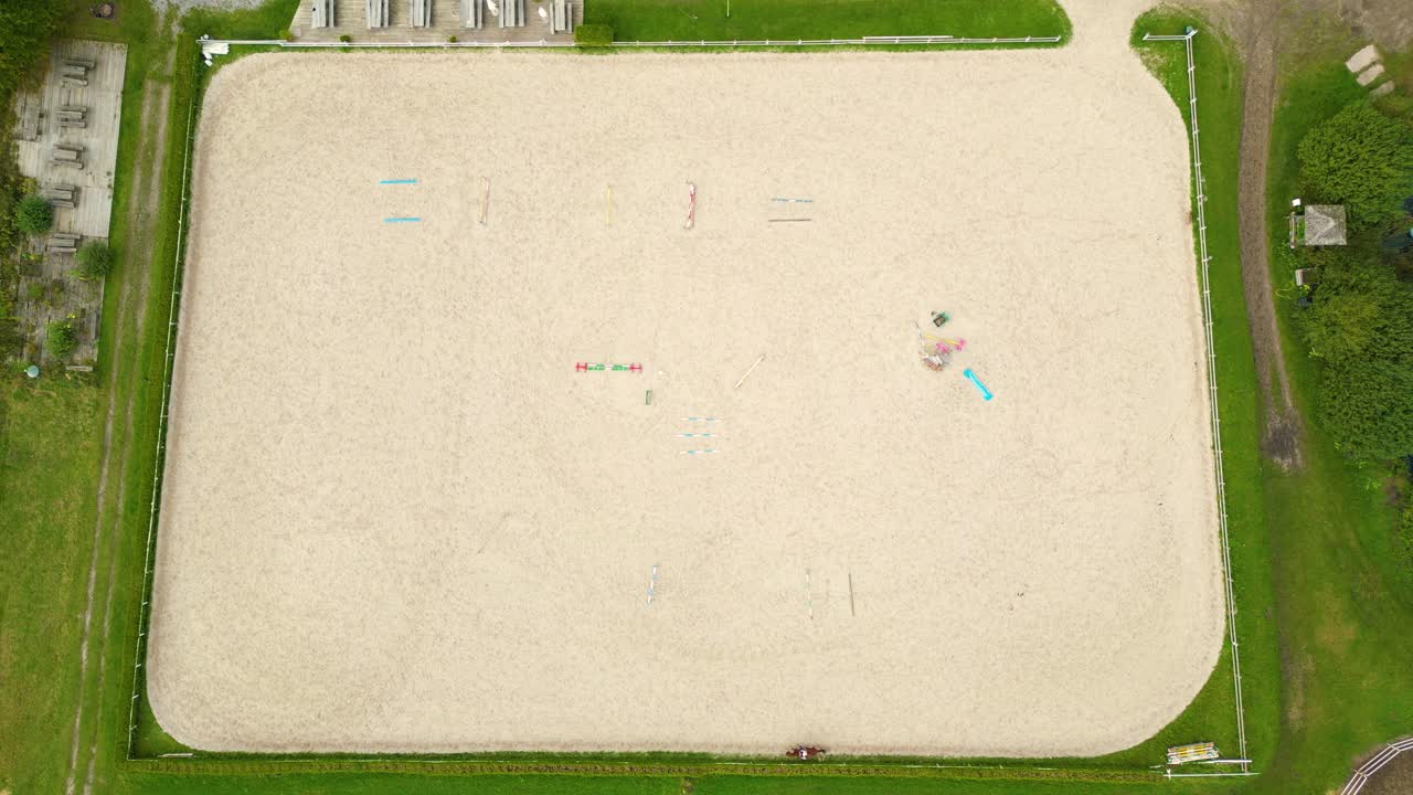 안정 근처 목장에서 걷고 방목하는 말