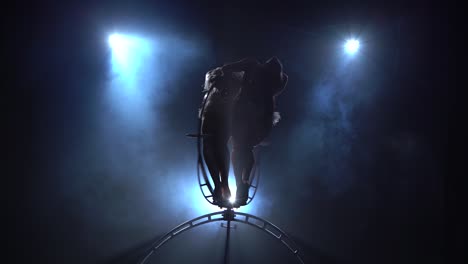 acrobatic performance on aerial hoop