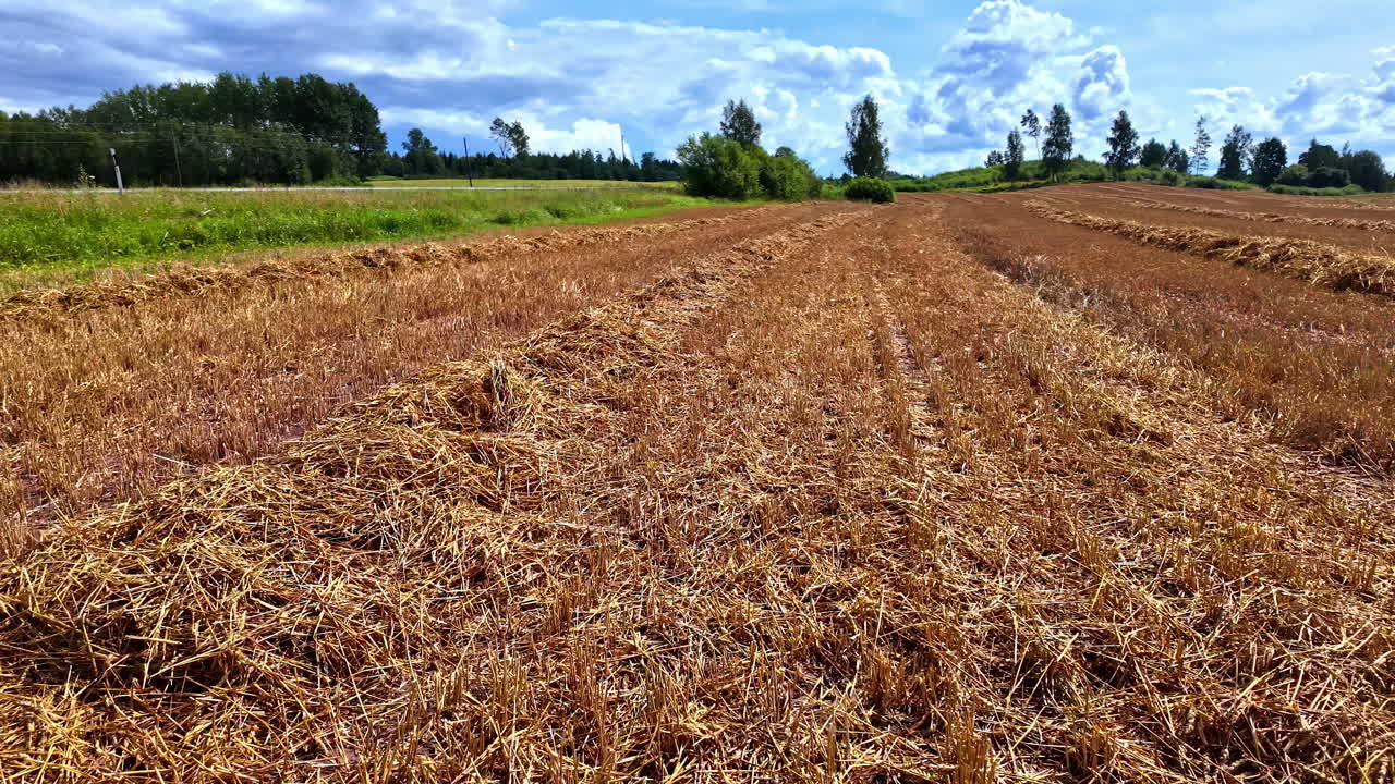 vista de un campo agrícola con un hermoso paisaje en el fondo durante el día