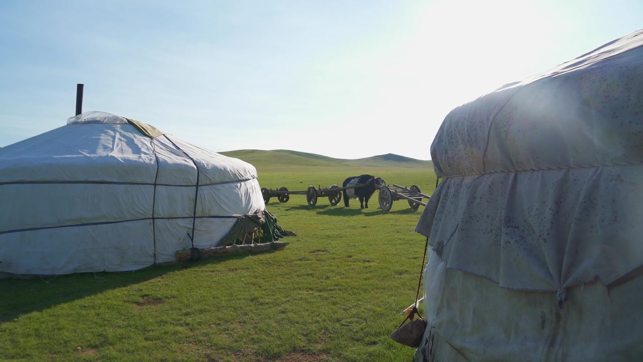Traditionell mongolisk jurta på den vidsträckta gröna stäppen