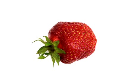 fresa de fresa sobre un fondo blanco