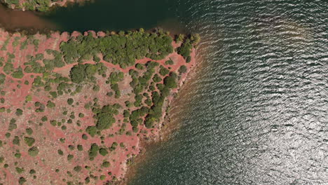 Red-sedimentary-rocks-along-the-Salagou-lake-France-aerial-top-shot-sunny-day