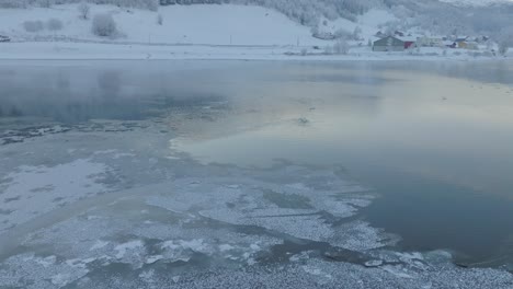 Whooper-swans-swimming-on-frozen-river-near-Lake-Voss,-Norway