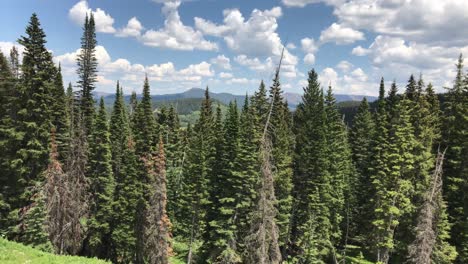 driving along county road 8 near ripple creek pass