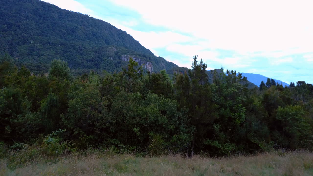 drone de bosque y naturaleza en el parque nacional de puerto montt