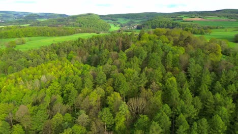 Drohne-Fliegt-Im-Sommer-über-Wald-Und-Felder