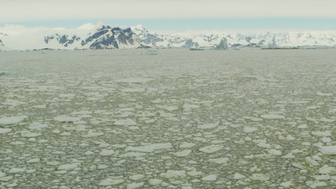 iceberg y campo de hielo