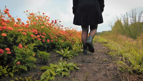 La-Mitad-Inferior-De-Las-Mujeres,-Las-Piernas-Caminan-Por-El-Seguimiento-Del-Vivero-Del-Jardín-De-Flores-De-Caléndula-Naranja