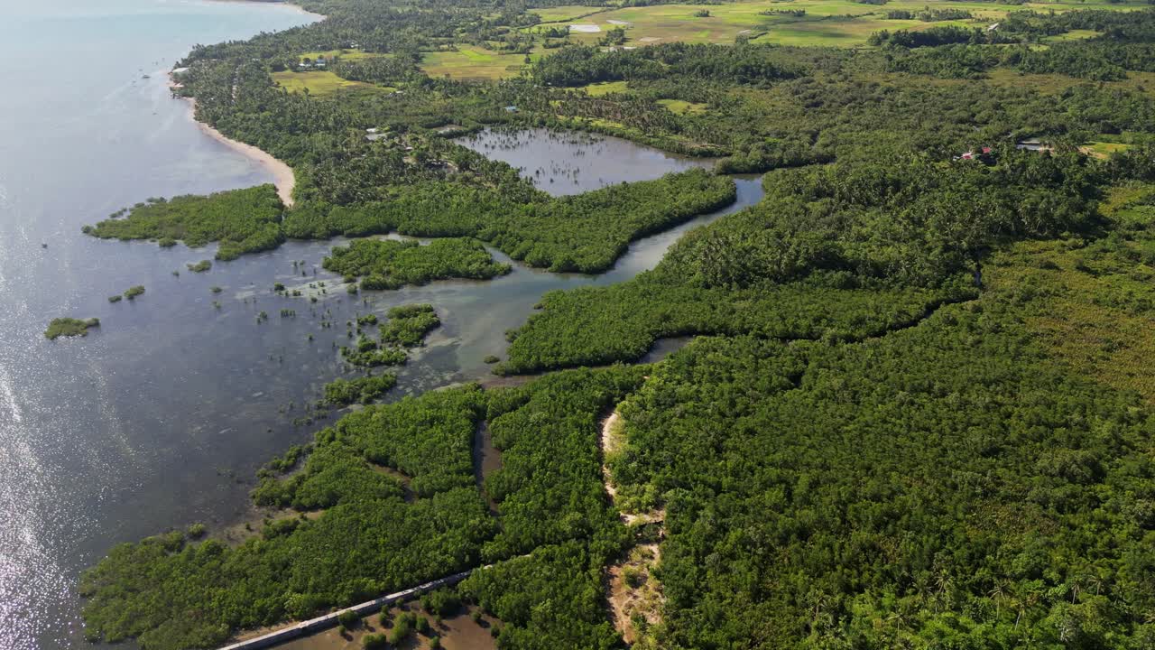 Scenic aerial overview of lush mangrove forest and river leading to estuary at San Andres, Catanduanes, Philippines