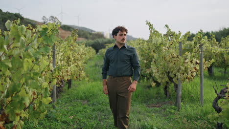 un joven paseando por una plantación con arbustos de vid. un viticultor caminando por un viñedo.