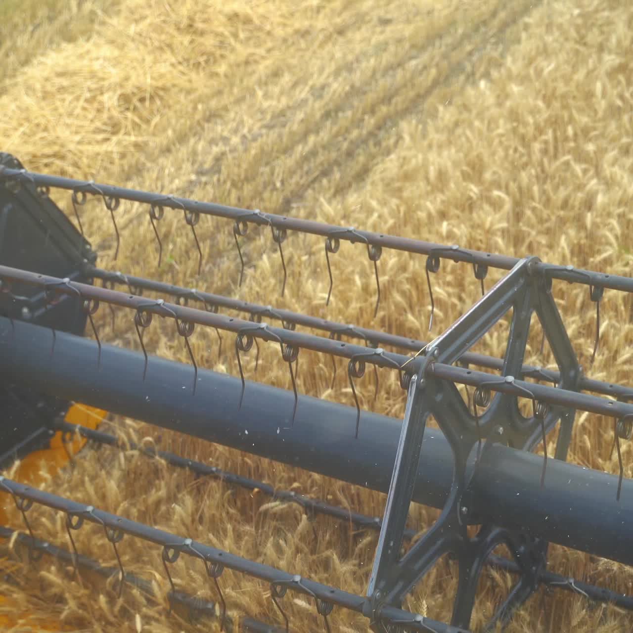 Combine mower mechanism harvesting wheat