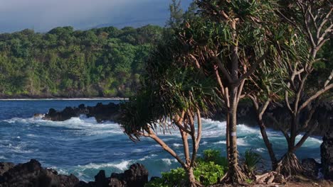 tropical coastline with lush vegetation and waves