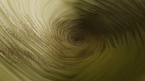 Abstract Spiral Tunnel with Ants