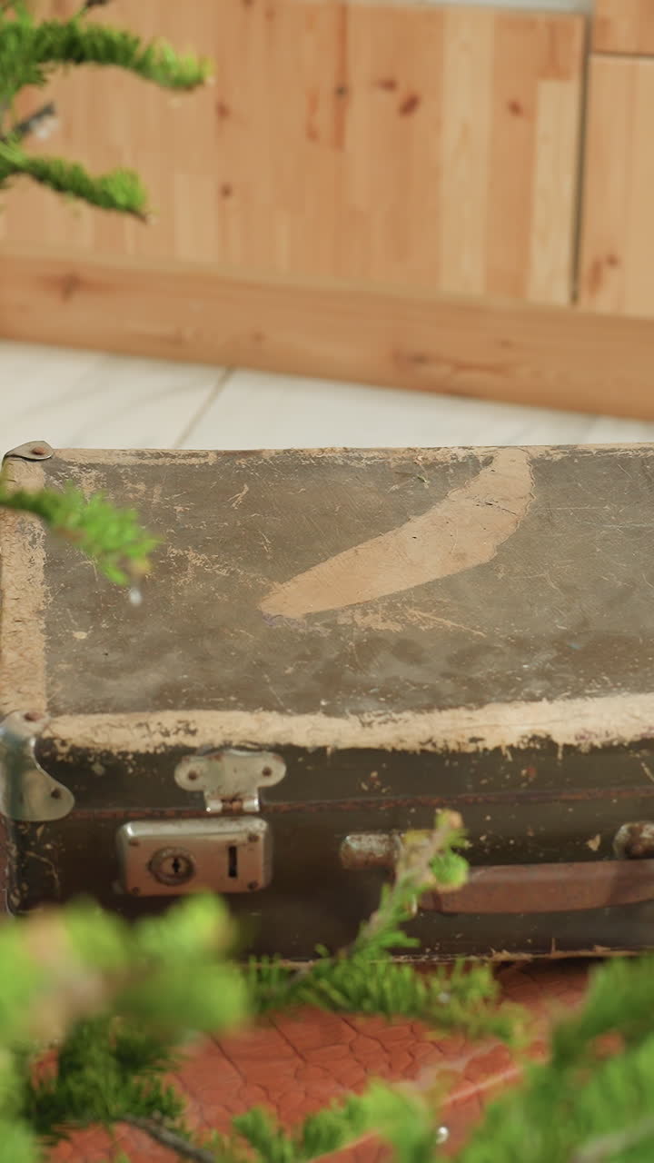 소나무 잔가지가 얹어진 낡은 빈티지 여행 가방, 닳은 가죽 손잡이와 금속 버클, 질감이 있는 녹청, 나무 바닥과 패널 배경, 여행 용품점이나 다락방 분위기, 스타일리스트가 휴일 소품을 포장하고 있어요.