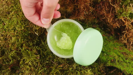bottle of cosmetics cream serum on moss forest background green leaves. woman make up healthy natural products.