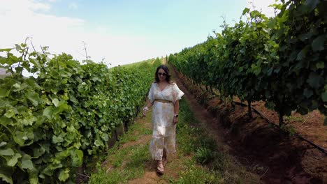 A-Tourist-Woman-Walks-In-A-Vineyard-In-Constantia,-Cape-Town,-South-Africa---Pullback