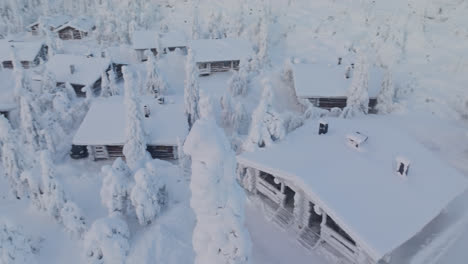 vista aérea rodeando un árbol nevado en medio de cabañas, mañana de invierno en laplandia