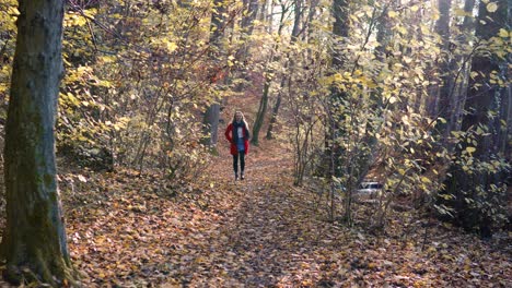 Hermosa-Joven-Con-Abrigo-Rojo-Caminando-Hacia-La-Cámara-En-Medio-De-Los-Bosques-Otoñales-De-Color-Marrón-Anaranjado-Llenos-De-Luz-Solar-Cálida-Y-Brillante