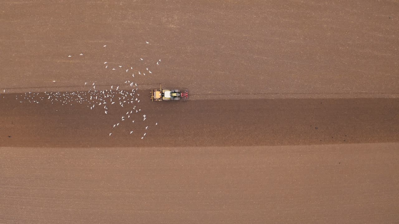 농경지에서 트랙터를 따라가는 바다표범의 잠금