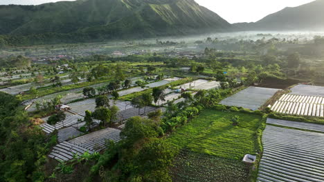 Early-morning-mist-over-the-rice-fields-at-Sembalun-on-Lombok-Island,-Indonesia