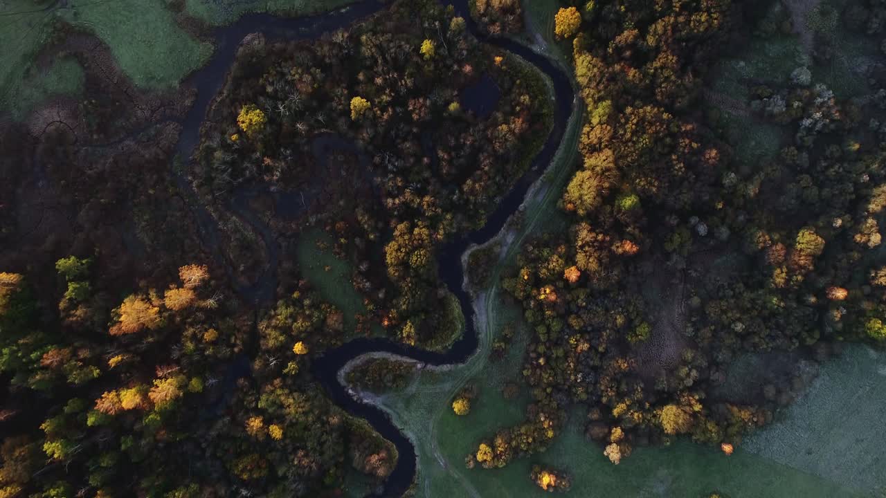 Golden sunrise lights up colorful forest and curving Sventāja River in Latvia
