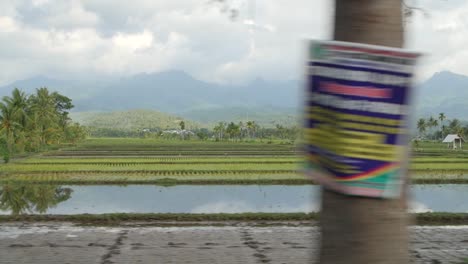 indonesian rice fields and hills