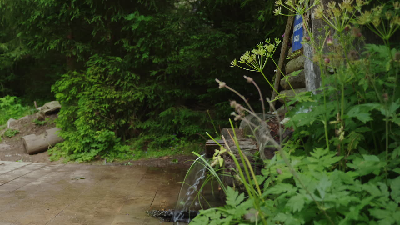 viajero cansado con una mochila bebe agua de un manantial en el bosque hd video
