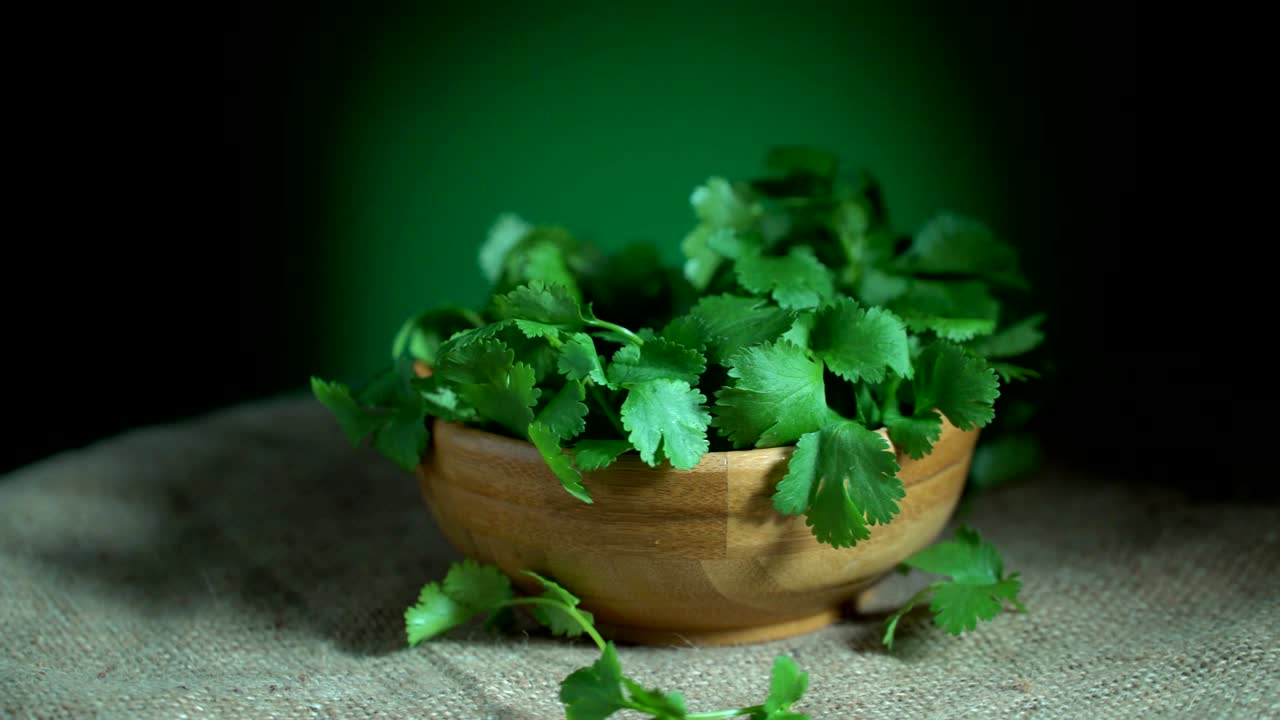 el cilantro se puede girar en bucle.