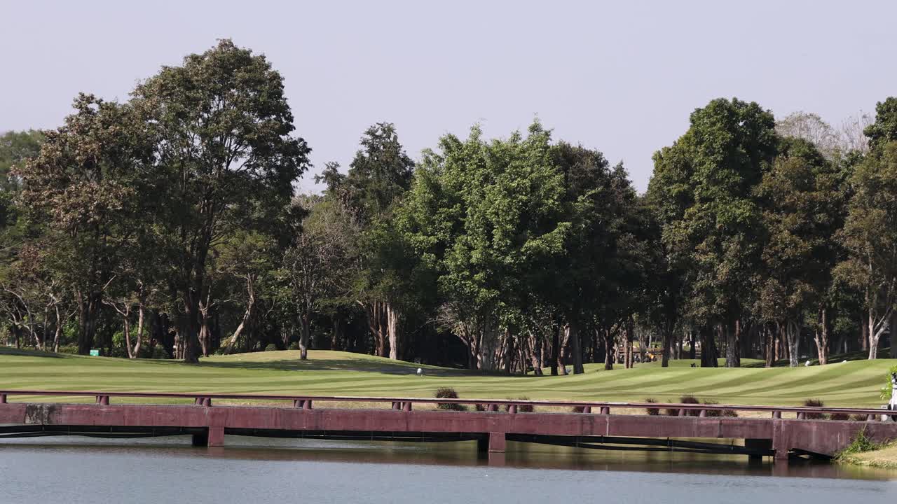 Golf carts drive across bridge on lush golf course, afternoon sunlight, steady wide shot