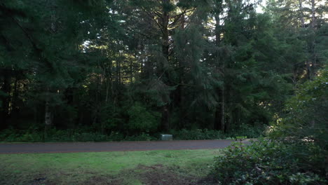 Sign-With-Chain-Hanging-Between-Two-Trees-Near-The-Road-In-Oregon-Forest,-USA---Tracking-Forward-Shot