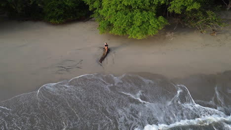 top down aerial view of a woman laying down on a tropical beach in manuel antonio, costa rica