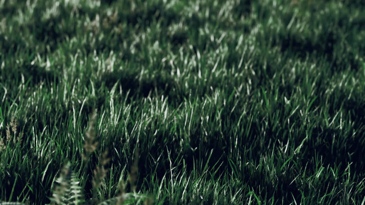 Vibrant green grass swaying gently in a sunny field during midday