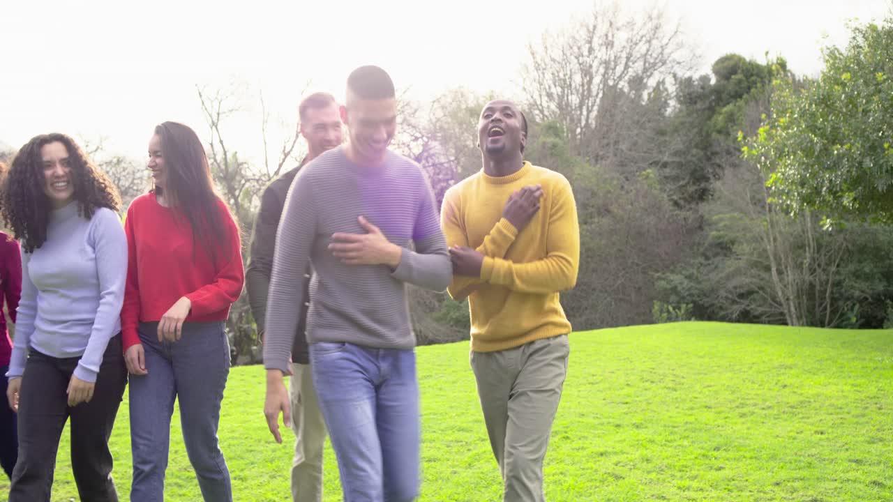 Diverse friends greeting with handshake, linking arms, walking on park lawn and celebrating reunion