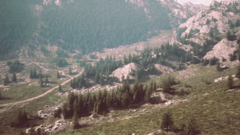 aerial view of a mountain forest with fog