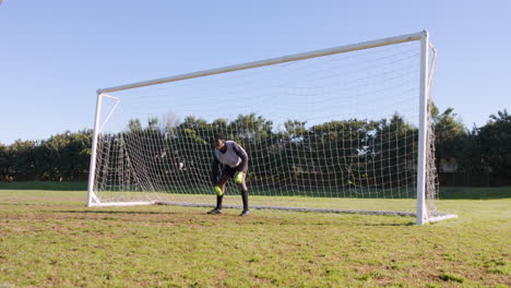 goalkeeper in action, standing in front of soccer goal, ready to defend