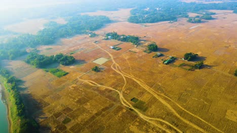 vista aérea de tierras de cultivo con una pequeña aldea en bangladesh en la temporada de cosecha